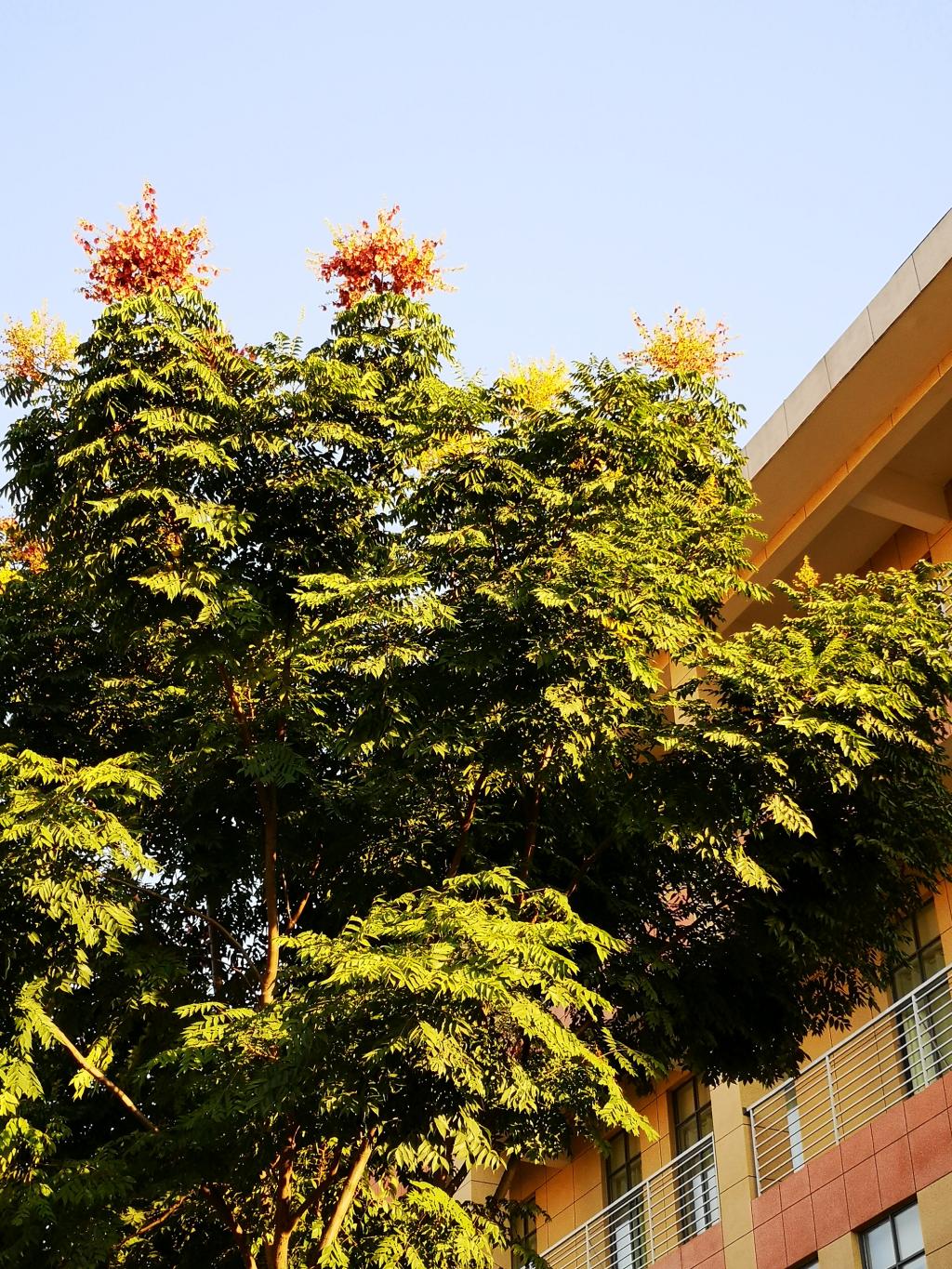 太阳集团官网网址,大阳城集团所有网站