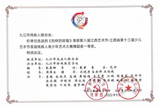 《一起到山顶》新农村项目 国金奖