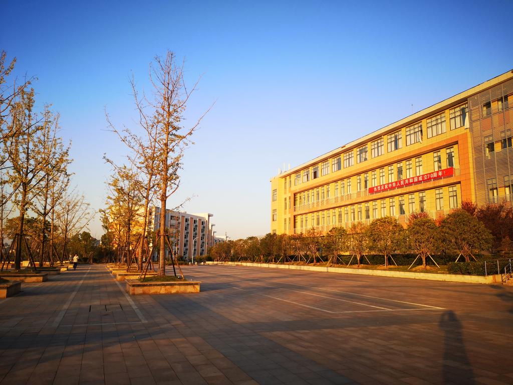 太阳集团官网网址,大阳城集团所有网站