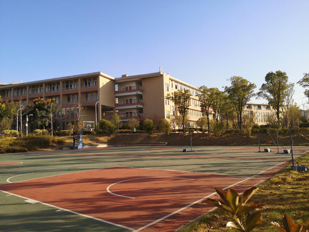 太阳集团官网网址,大阳城集团所有网站