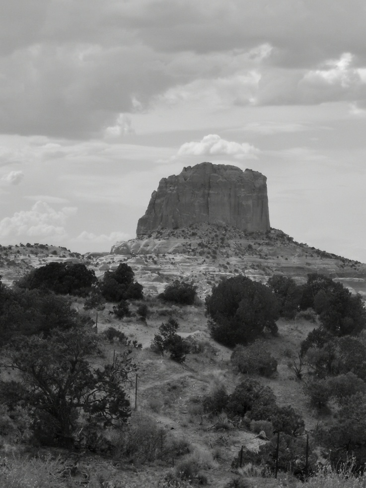 说明: C:\Users\ysx20\Desktop\太阳集团官网网址摄影作品\《独语》.jpg