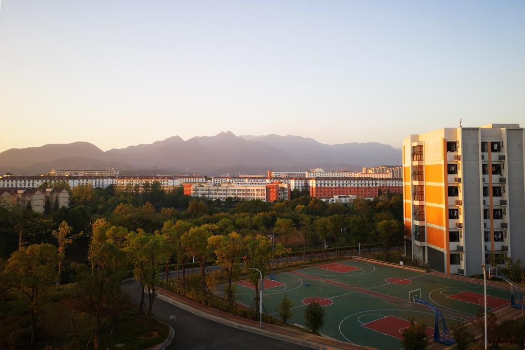 太阳集团官网网址,大阳城集团所有网站