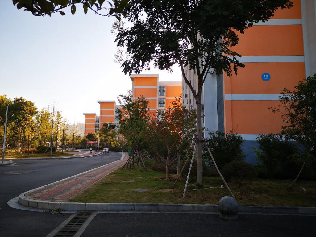 太阳集团官网网址,大阳城集团所有网站