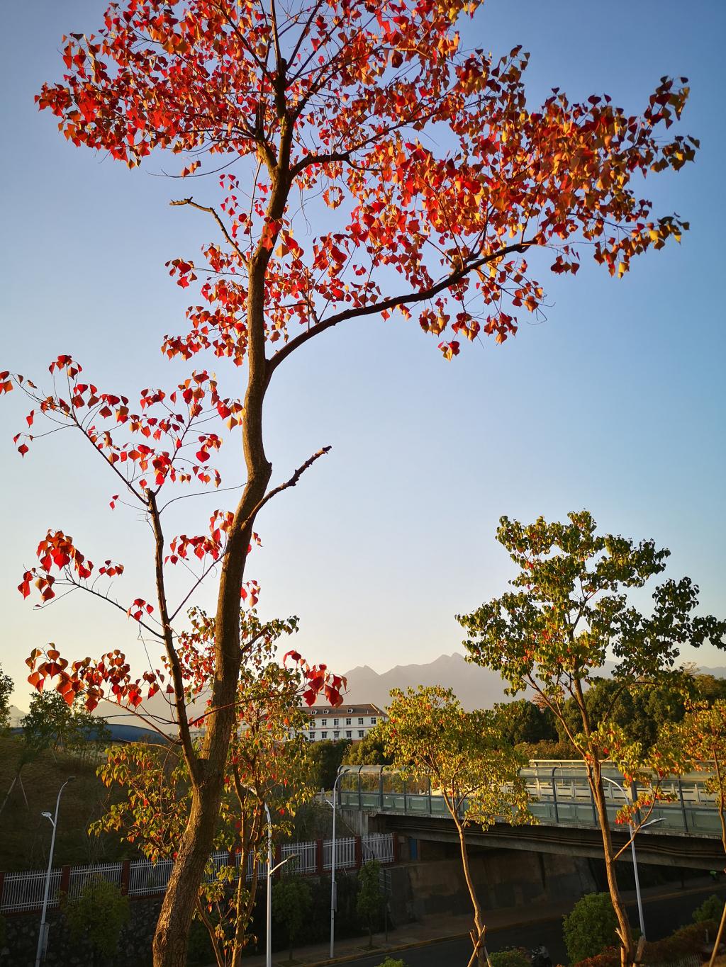 太阳集团官网网址,大阳城集团所有网站