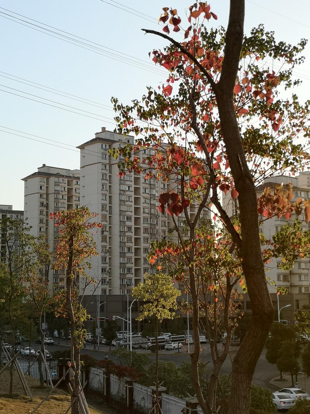 太阳集团官网网址,大阳城集团所有网站