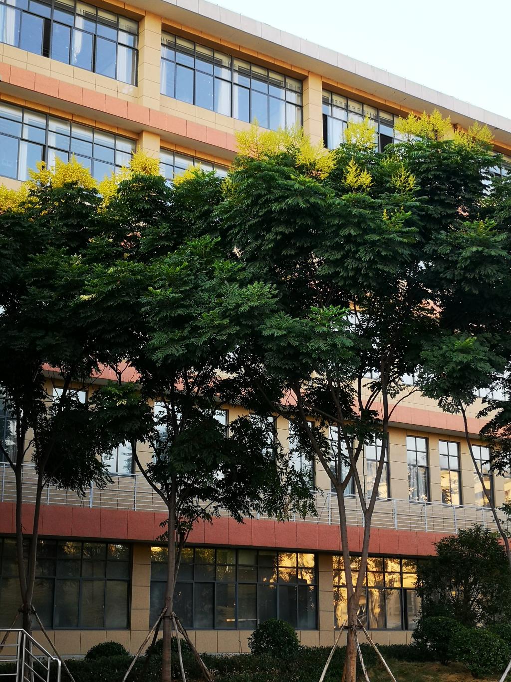 太阳集团官网网址,大阳城集团所有网站